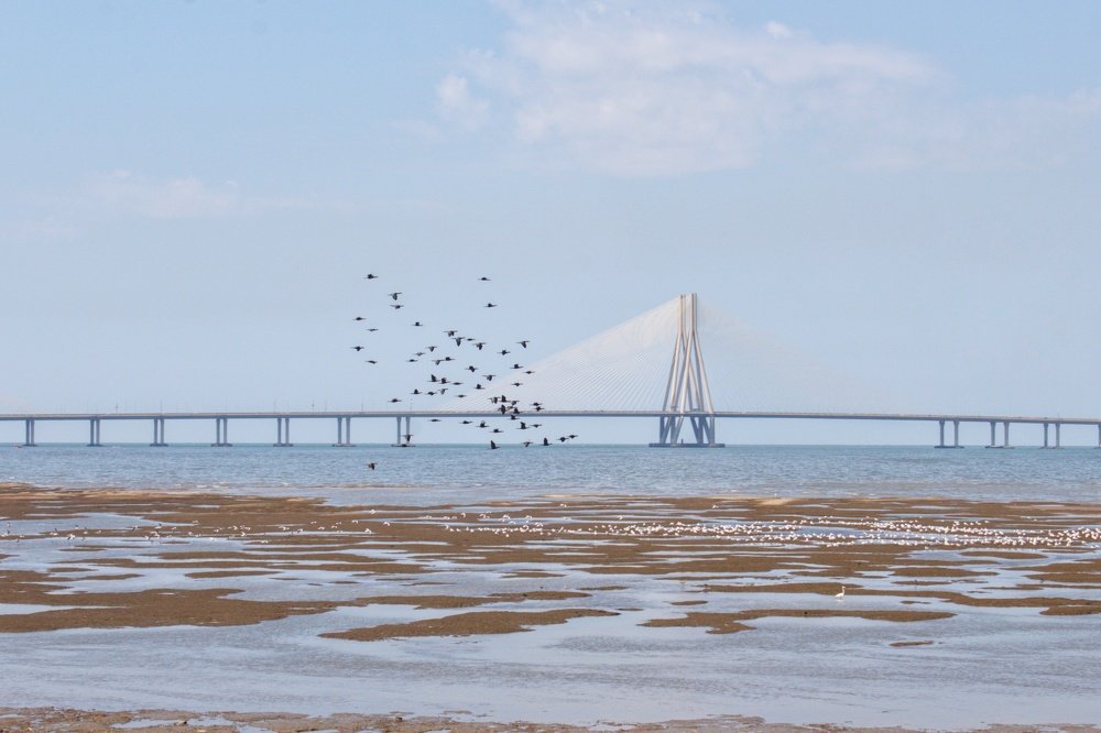 Фотография автора Girish Kajrolkar