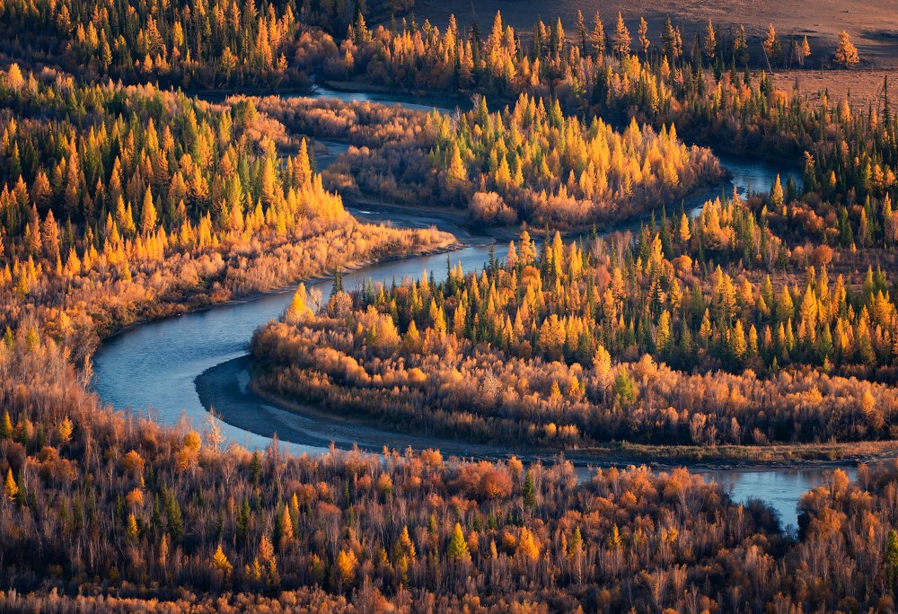 Фотография автора Станислав Казнов