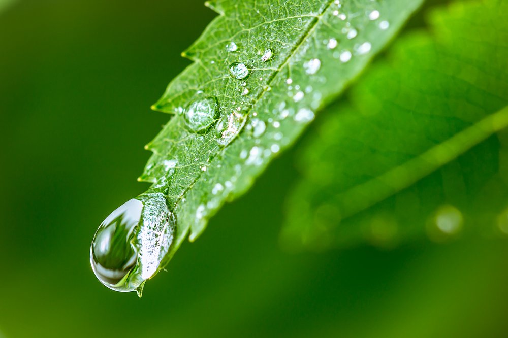 Photograph by Валерий Бочкарев