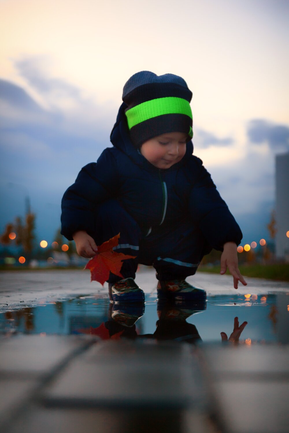Photo #3690085