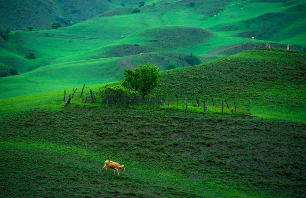 Photograph by Станислав Казнов