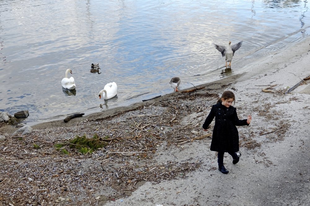 Young girl and goose dance steps ...