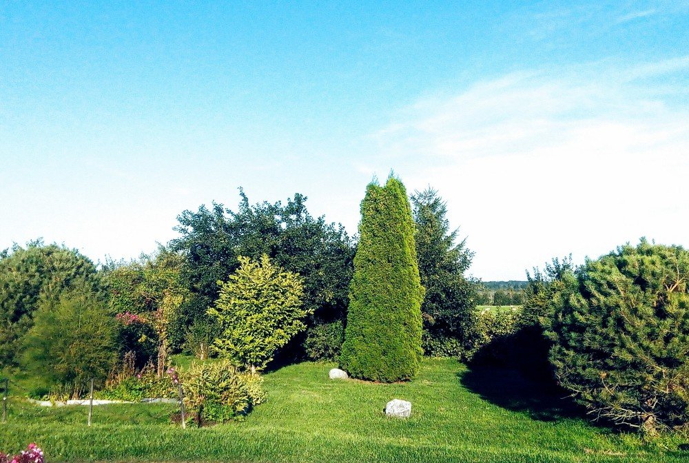 Photograph by Игорь Лебедев