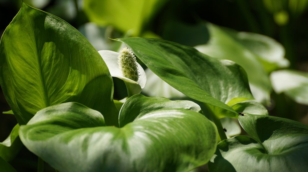 Photograph by Алексей Миронов