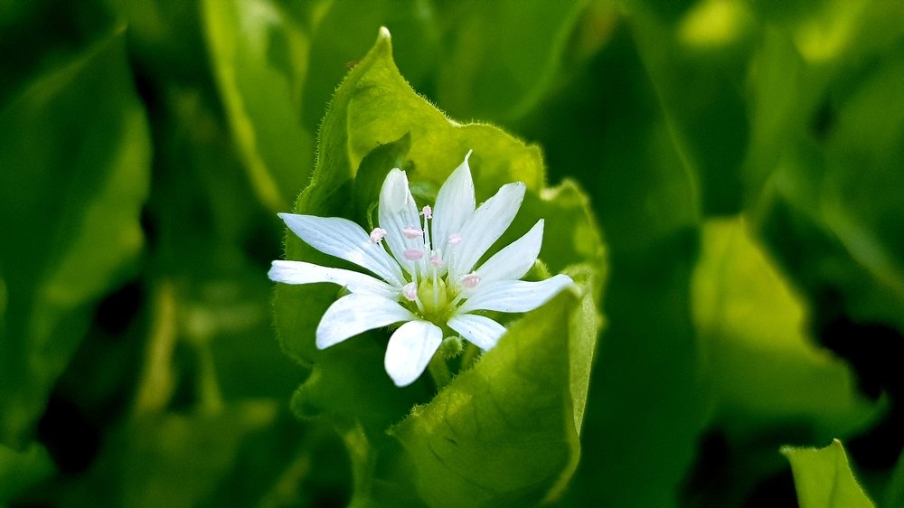 Photograph by Алексей Миронов