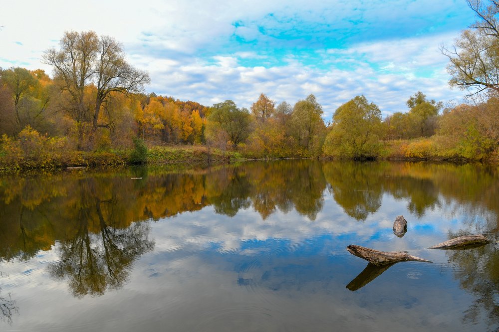 Осенний пейзаж