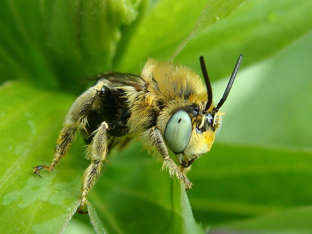 после дождя.