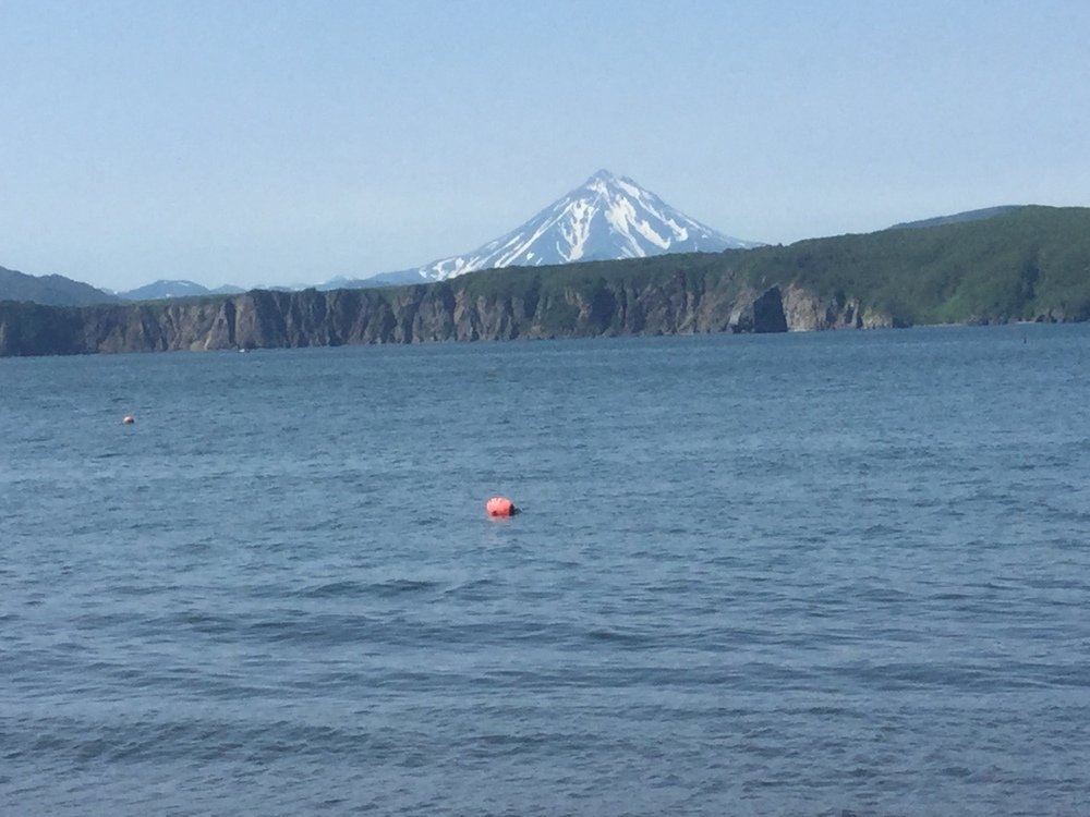 Photo #3690308