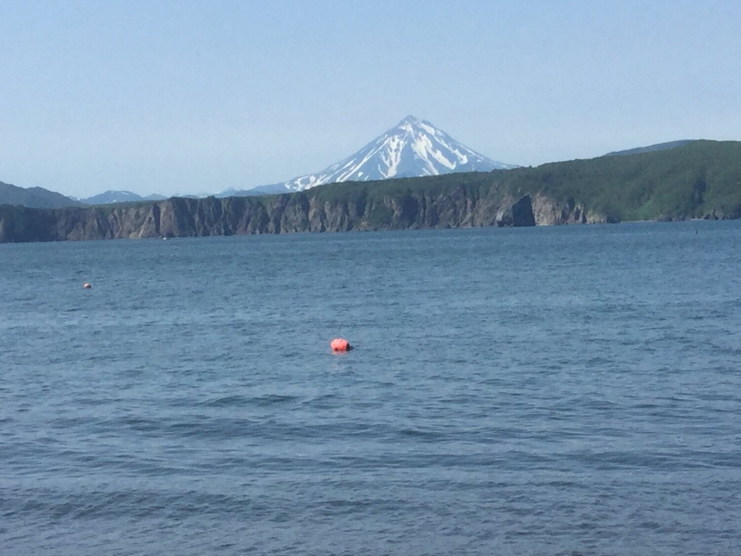 Photo #3690308