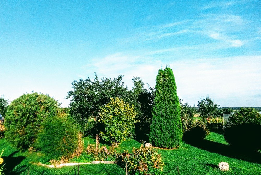 Photograph by Игорь Лебедев