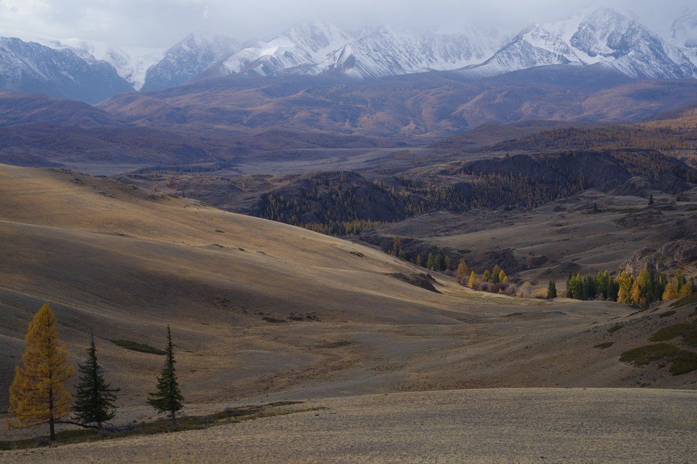 Вид на Северо-Чуйский хребет