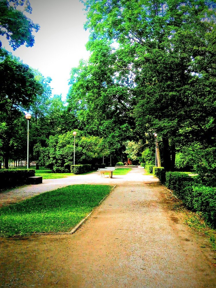 Photograph by Игорь Лебедев