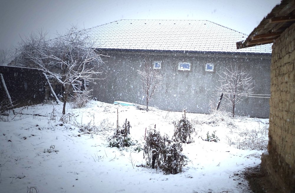 Photograph by eszter bodnár