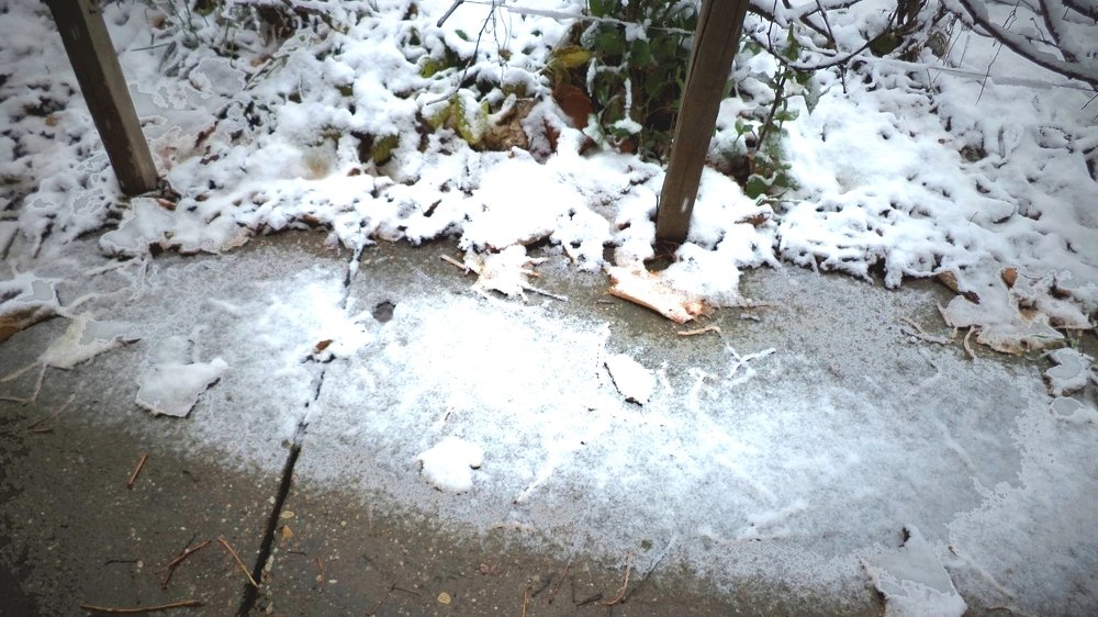 Photograph by eszter bodnár