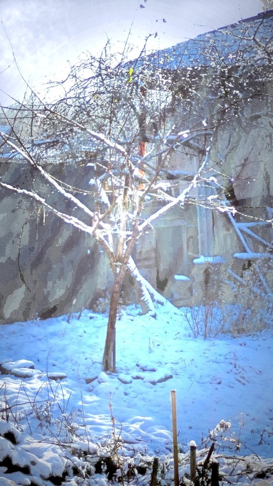 Photograph by eszter bodnár