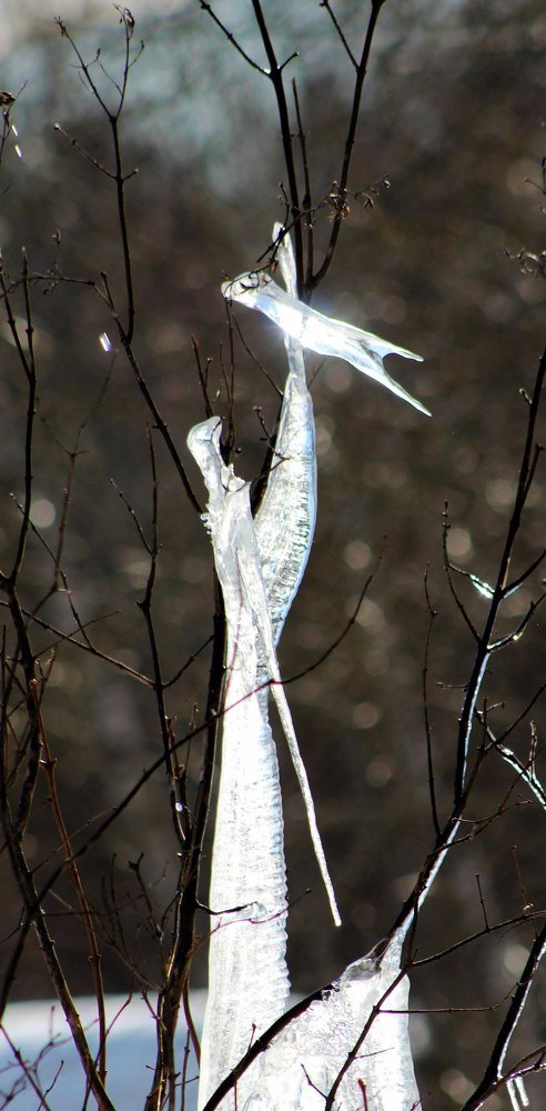 Мать и дитя