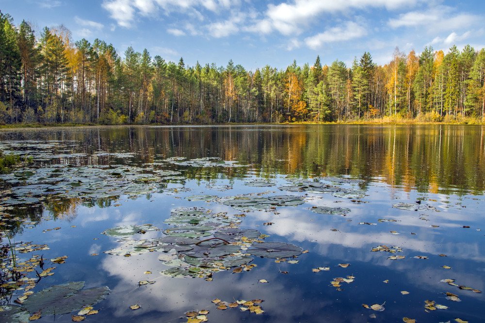 осень на озере