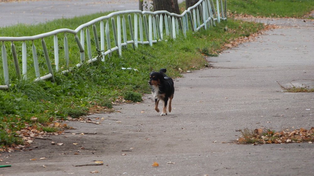 Photo #3690404