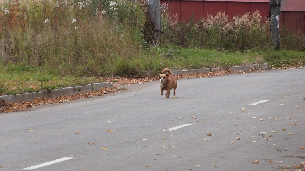 Photo #3690407