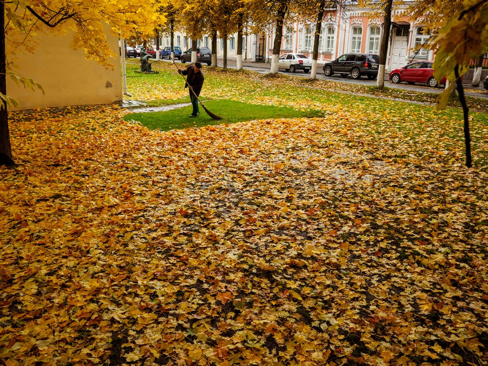 Photograph by Александр Губарев