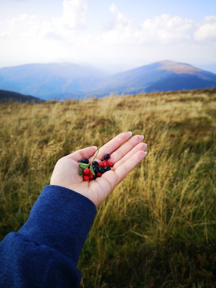 Фотография автора Людмила Богдан