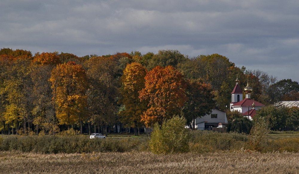 Осень в Гомеле.