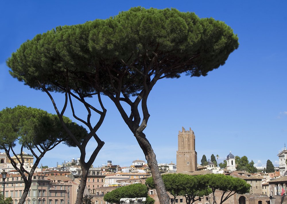 Photograph by Лиана Михайловская