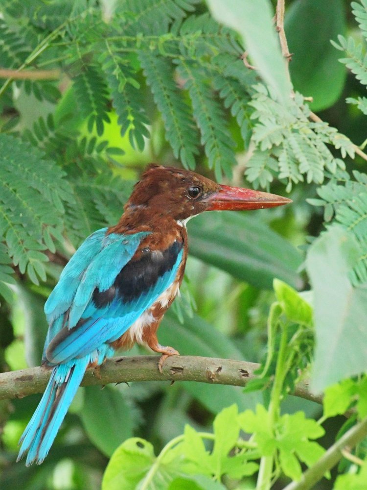 Photograph by Preet saluja