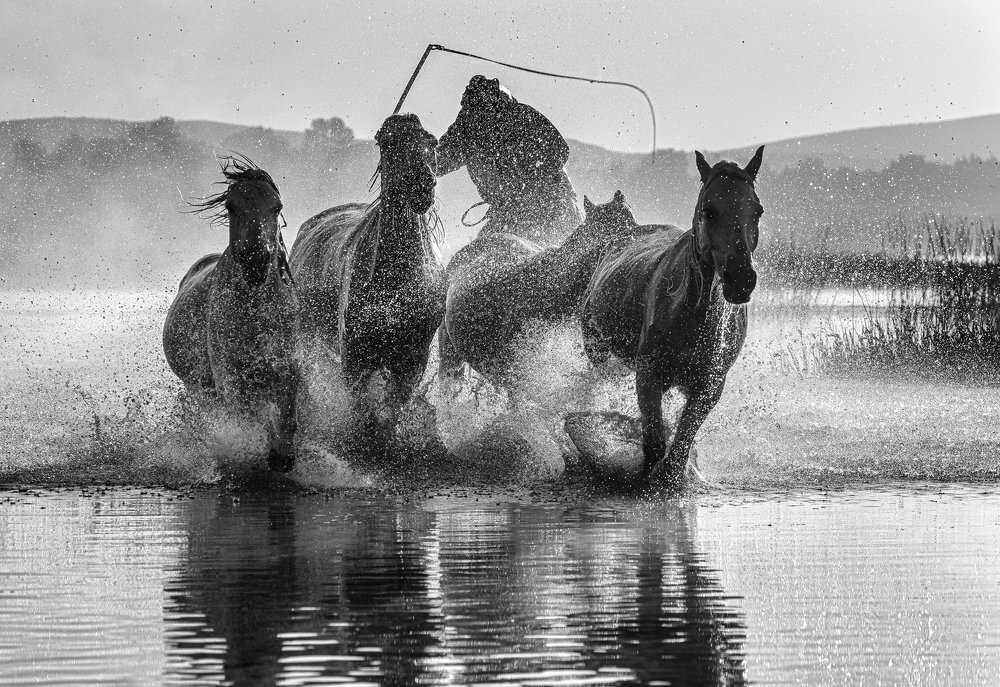 Photograph by Kok Tien Sang