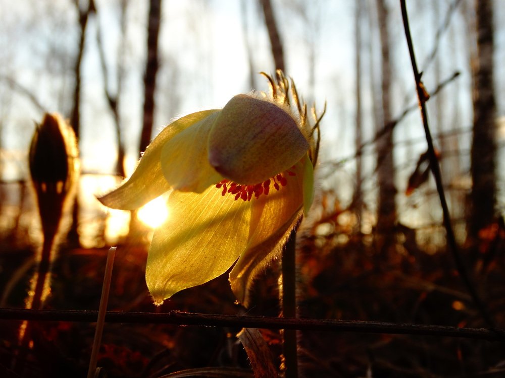 Photograph by Ermak72