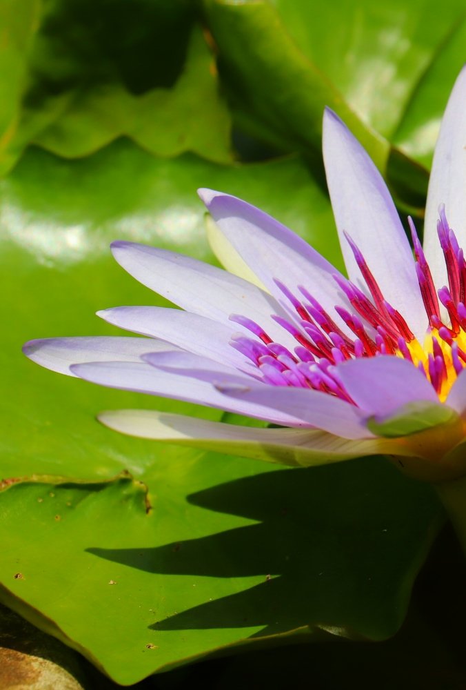 Photograph by  Reena