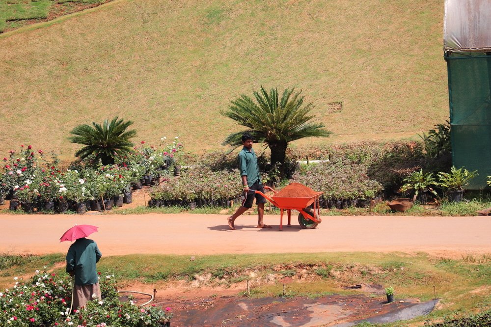 Photograph by  Reena