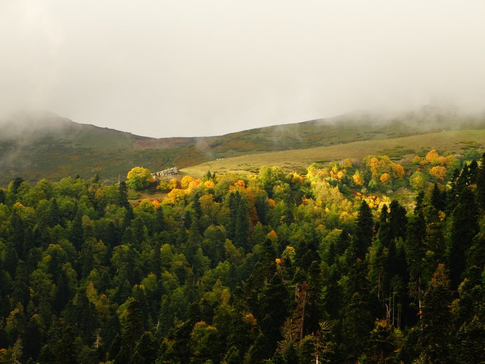 Photograph by Ermak72