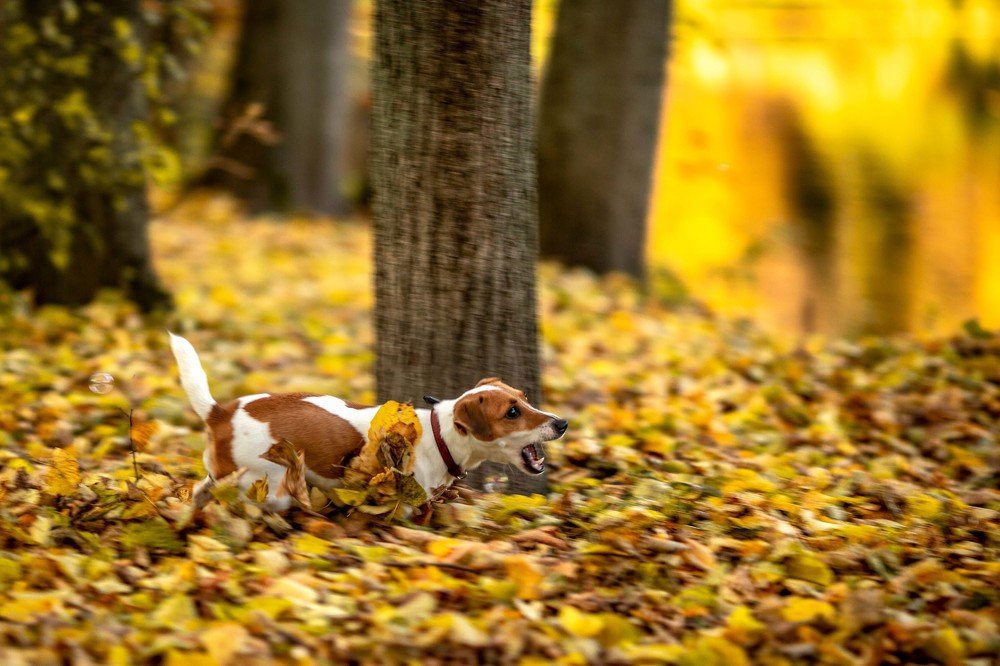 Photograph by sergun