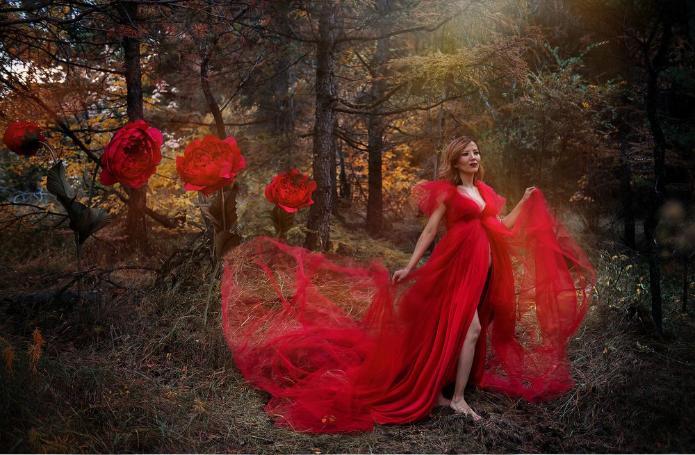 Фотография автора 