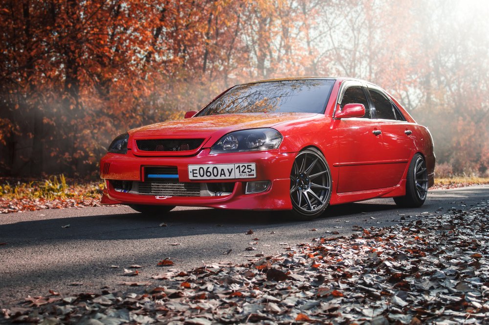 Photograph by Николай Пальцев