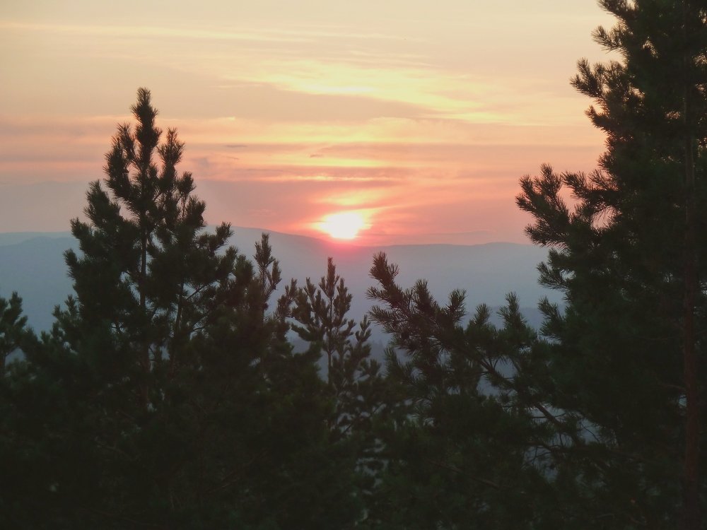 Photograph by Евгения Белоцветова