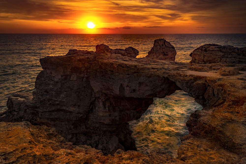 Photograph by Venelin Dimitrov