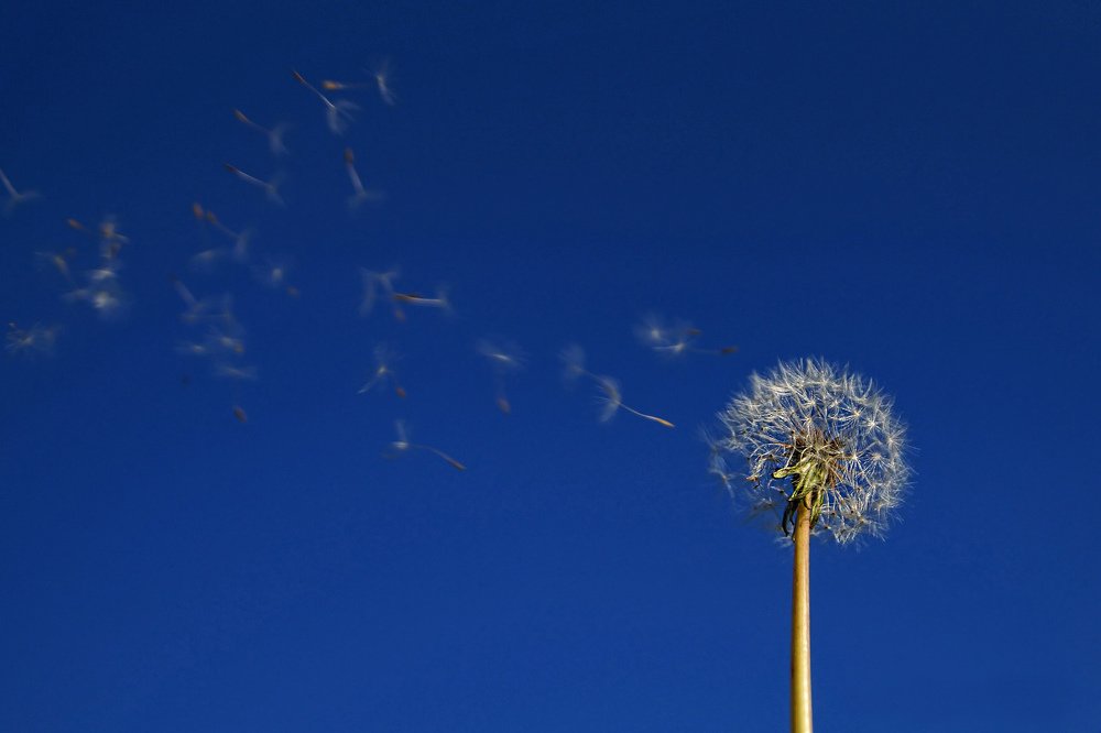 Photograph by Сергей Арямов