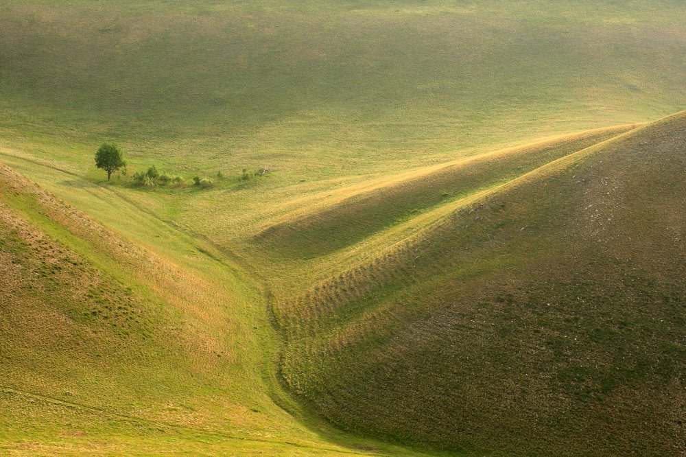 Фотография автора 