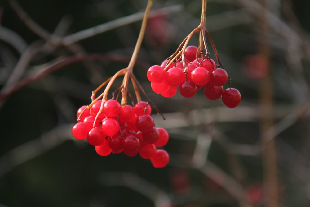 Photograph by Игорь Улитин