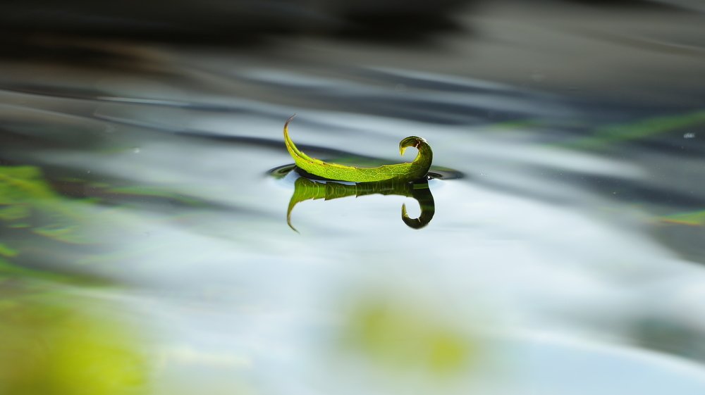 Photograph by Александр Шаварёв