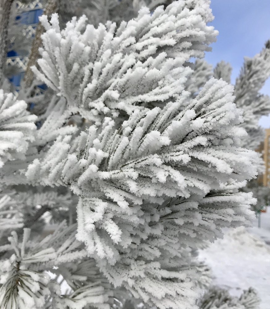 Photograph by Анар Амирова