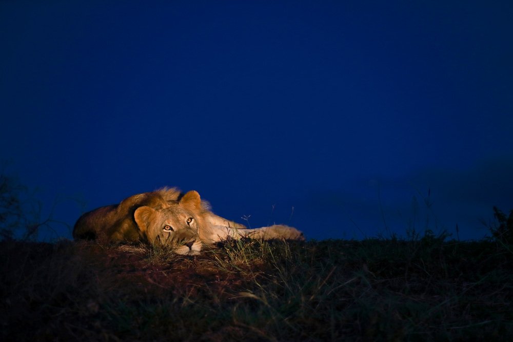 Photograph by Jacob Bahar