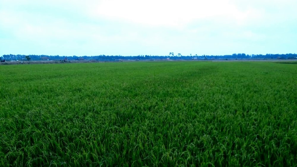 Photograph by Madhumanti Chatterjee