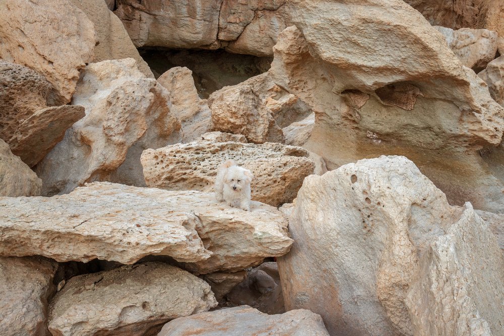 Photograph by  kaveh manafzadeh