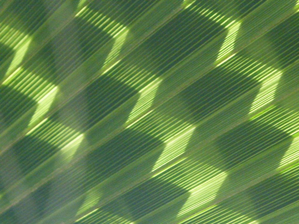 Photograph by wilfredo rojas