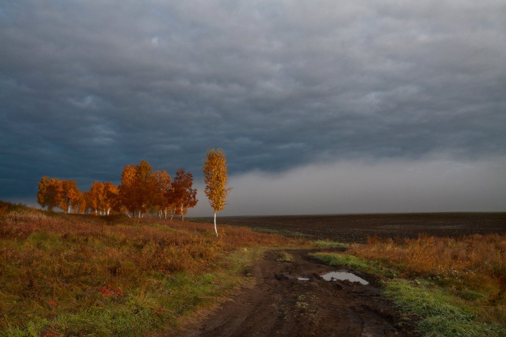 Photograph by Николай В.М.