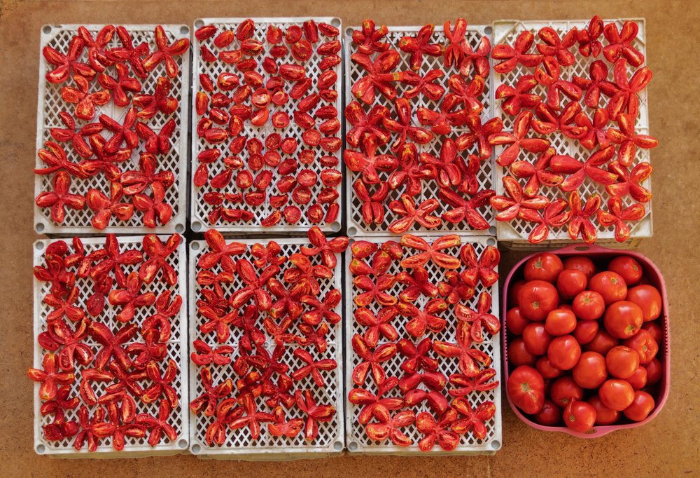 Photograph by  kaveh manafzadeh