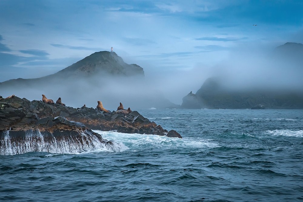 Photograph by Ольга Мусиенко